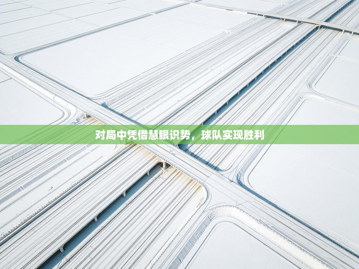 对局中凭借慧眼识势,球队实现胜利 第1张