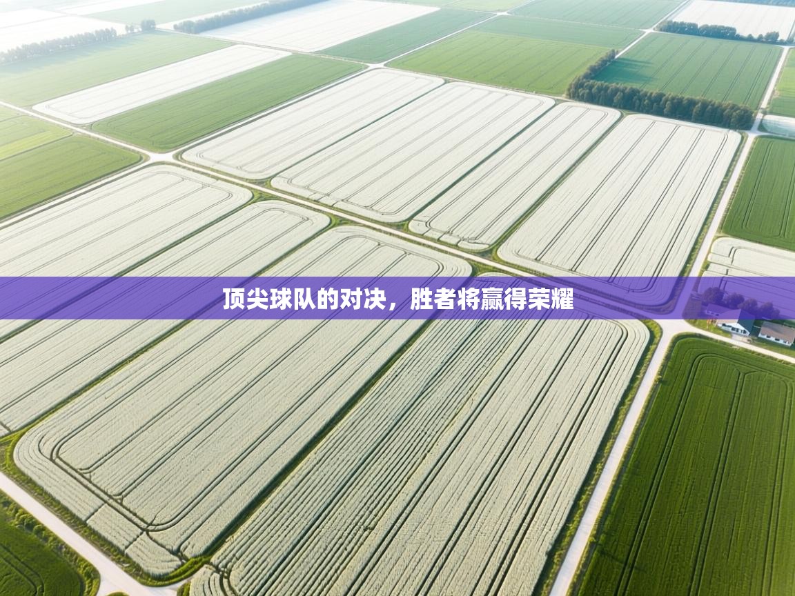 顶尖球队的对决，胜者将赢得荣耀  第2张