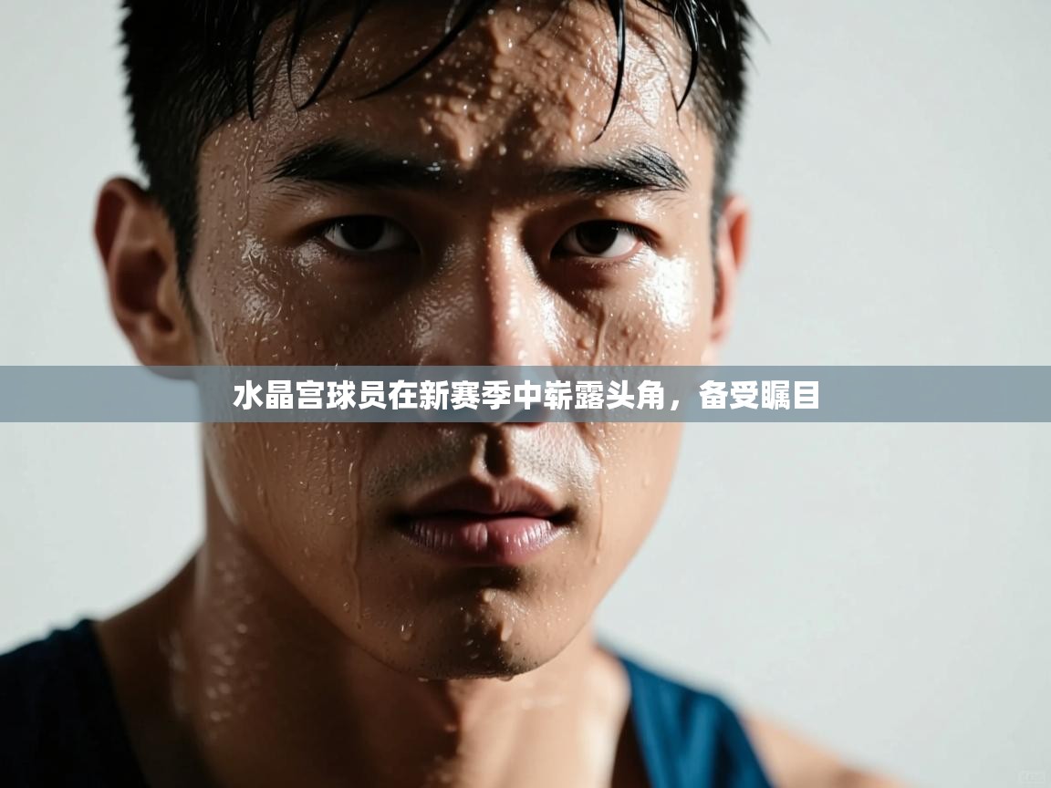 水晶宫球员在新赛季中崭露头角，备受瞩目  第1张