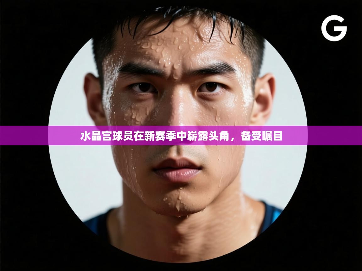 水晶宫球员在新赛季中崭露头角，备受瞩目  第2张